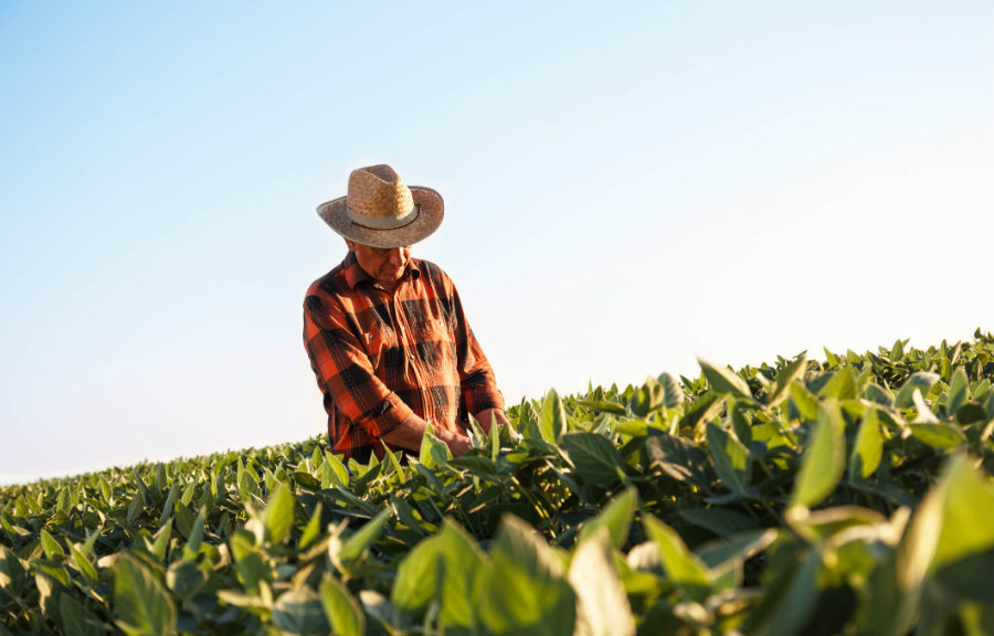 OS TÍTULOS E GARANTIAS NO FINANCIAMENTO DO AGRONEGÓCIO